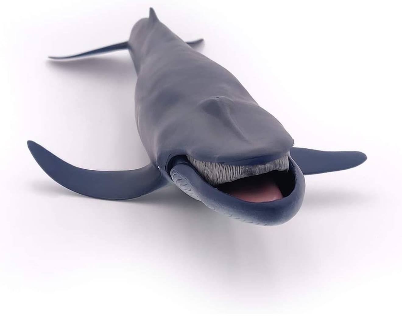 Baleine bleue bleu