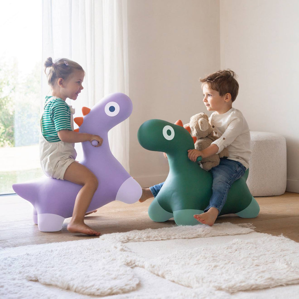 Ballon sauteur hoppi vert jardin violet