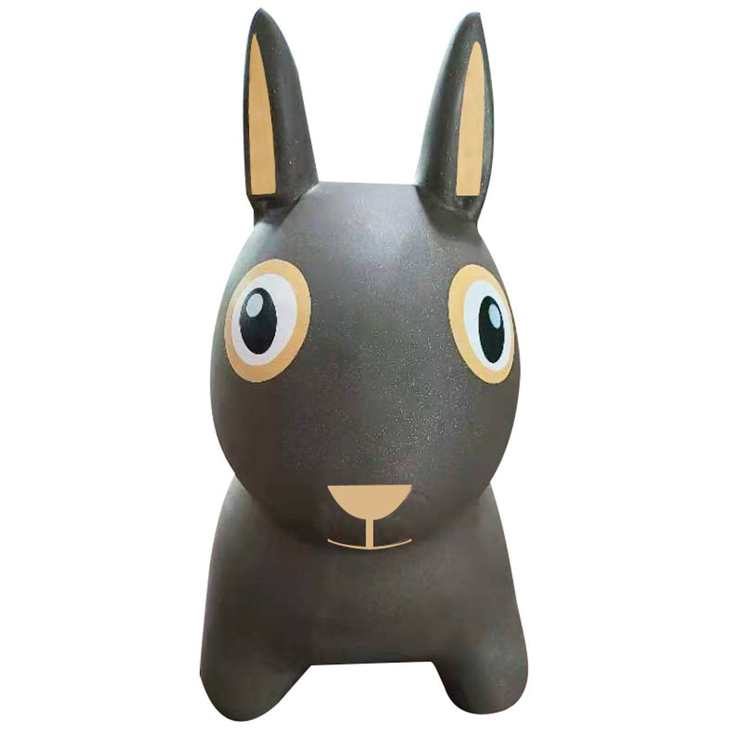 Ballon sauteur gris antracite