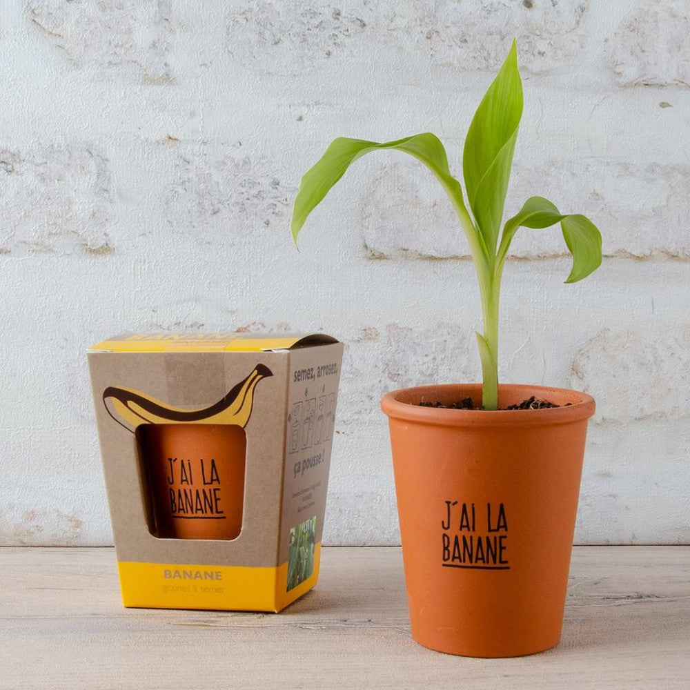Banane à Faire Pousser - J'ai la Banane - Kits de Plantation Radis et Capucine