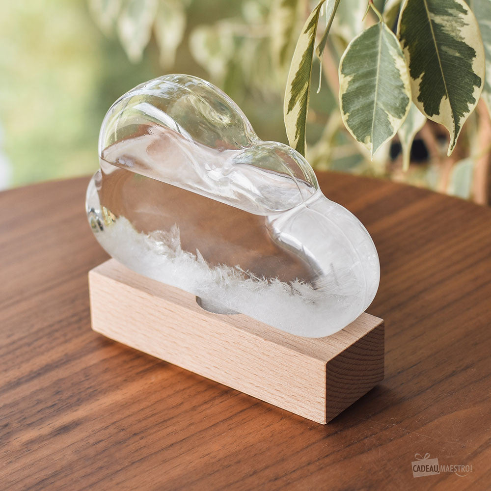 Baromètre Storm Glass Nuage - Baromètre Original
