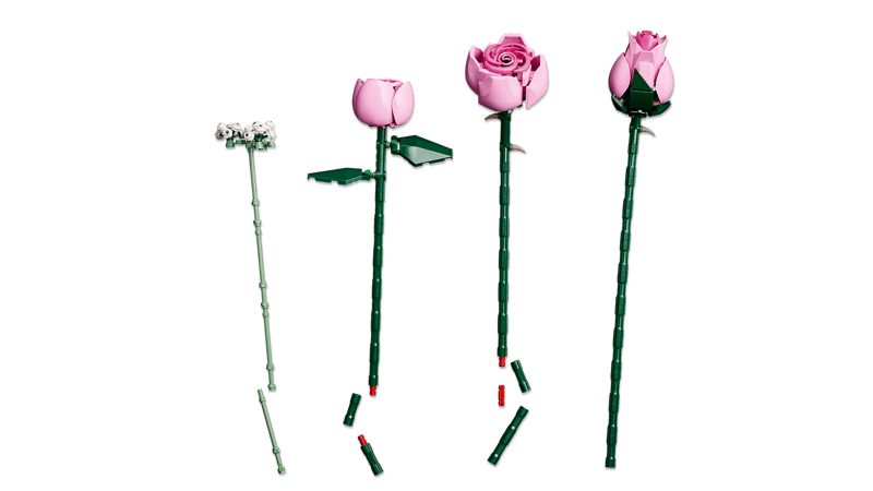 LEGO Botanicals 10374 Bouquet de roses roses LEGO Botanicals