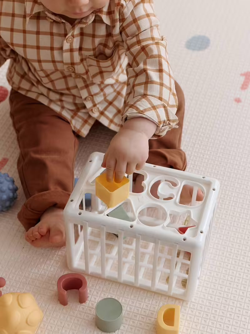 Boîte à formes avec élastiques - Vertbaudet