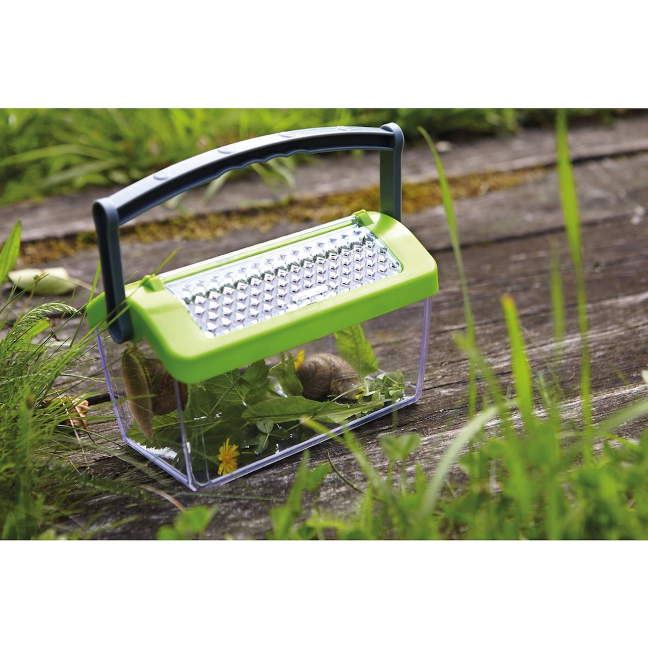 Boîte à insectes vert