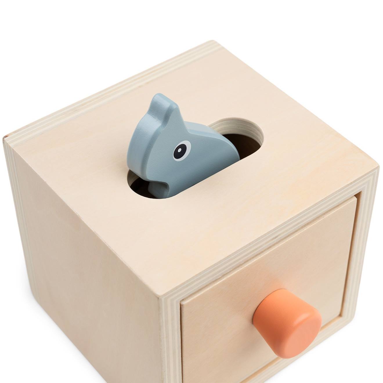 Boîte cache-cache nozo multicolore
