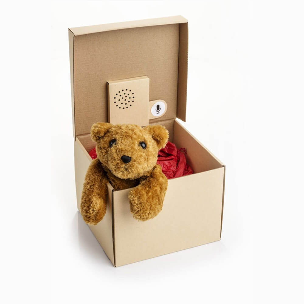 Boîte Cadeau avec Message Vocal Personnalisable - Papier Cadeau Suck Uk