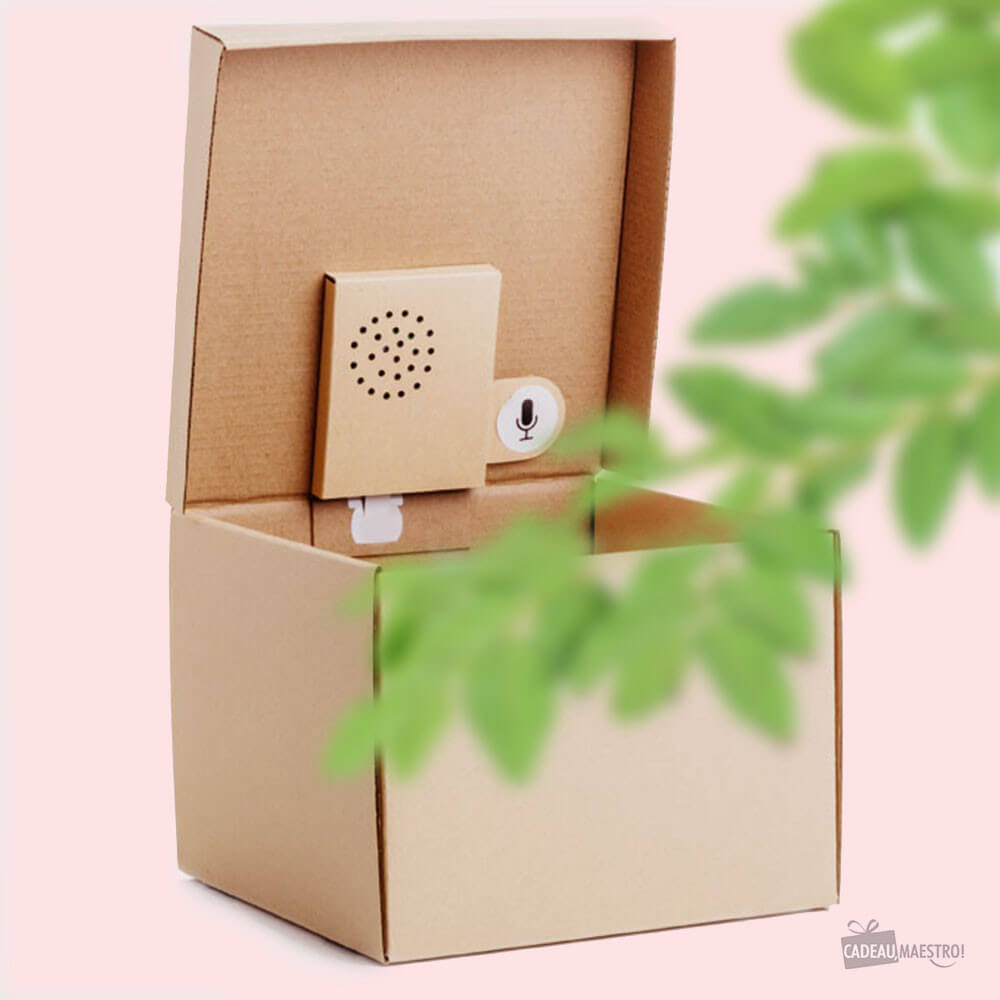 Boîte Cadeau avec Message Vocal Personnalisable - Papier Cadeau Suck Uk