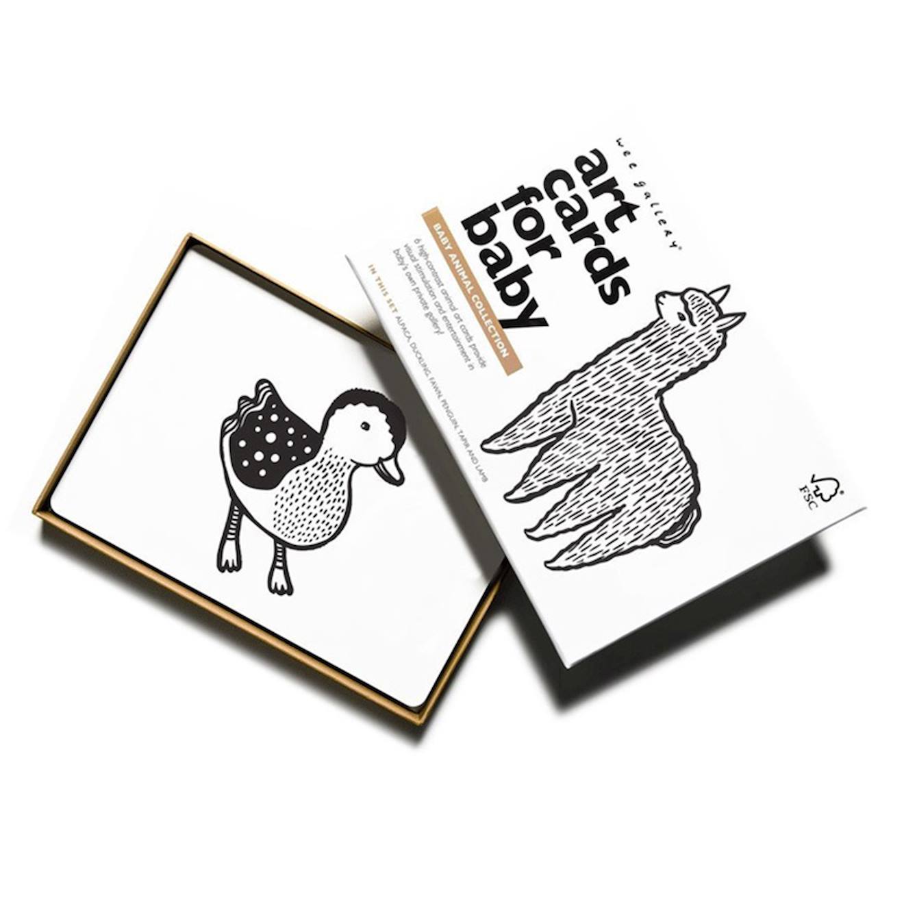 Boîte de 6 cartes imagier en noir et blanc - bébé animaux multi-coloured