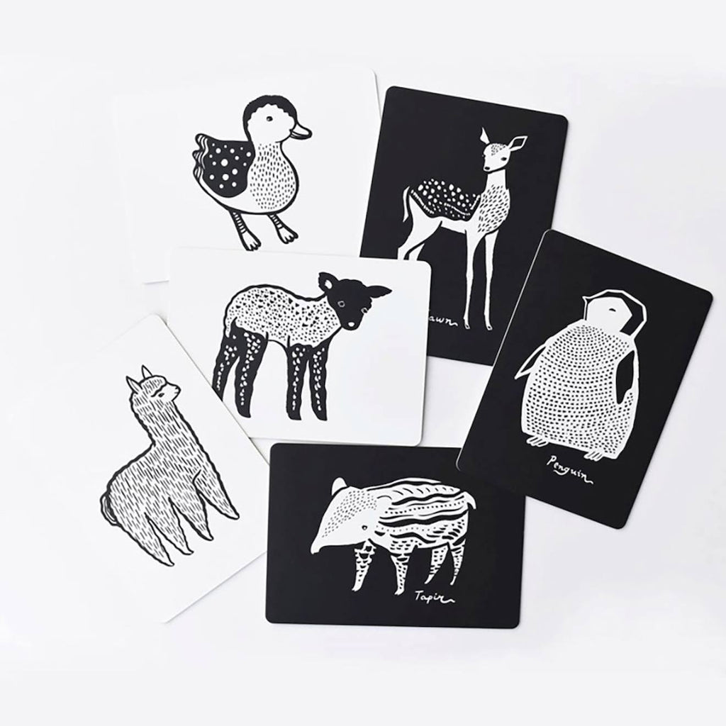 Boîte de 6 cartes imagier en noir et blanc - bébé animaux multi-coloured