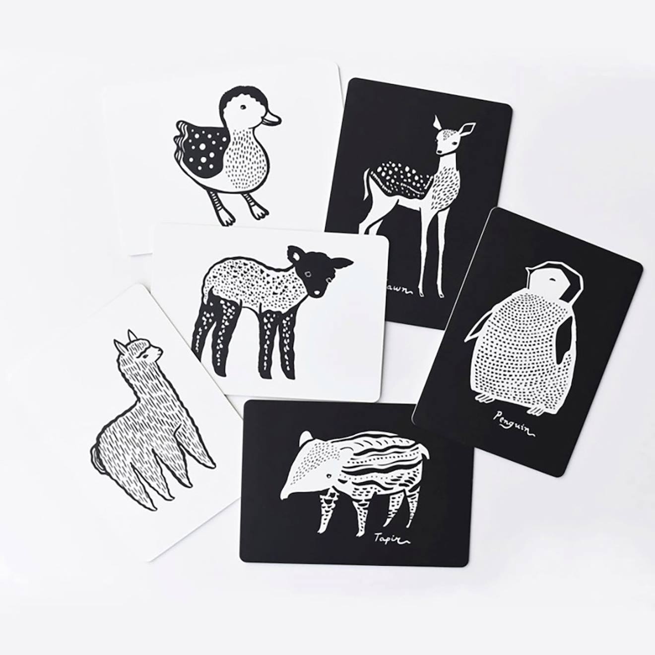 Boîte de 6 cartes imagier en noir et blanc - bébé animaux multi-coloured