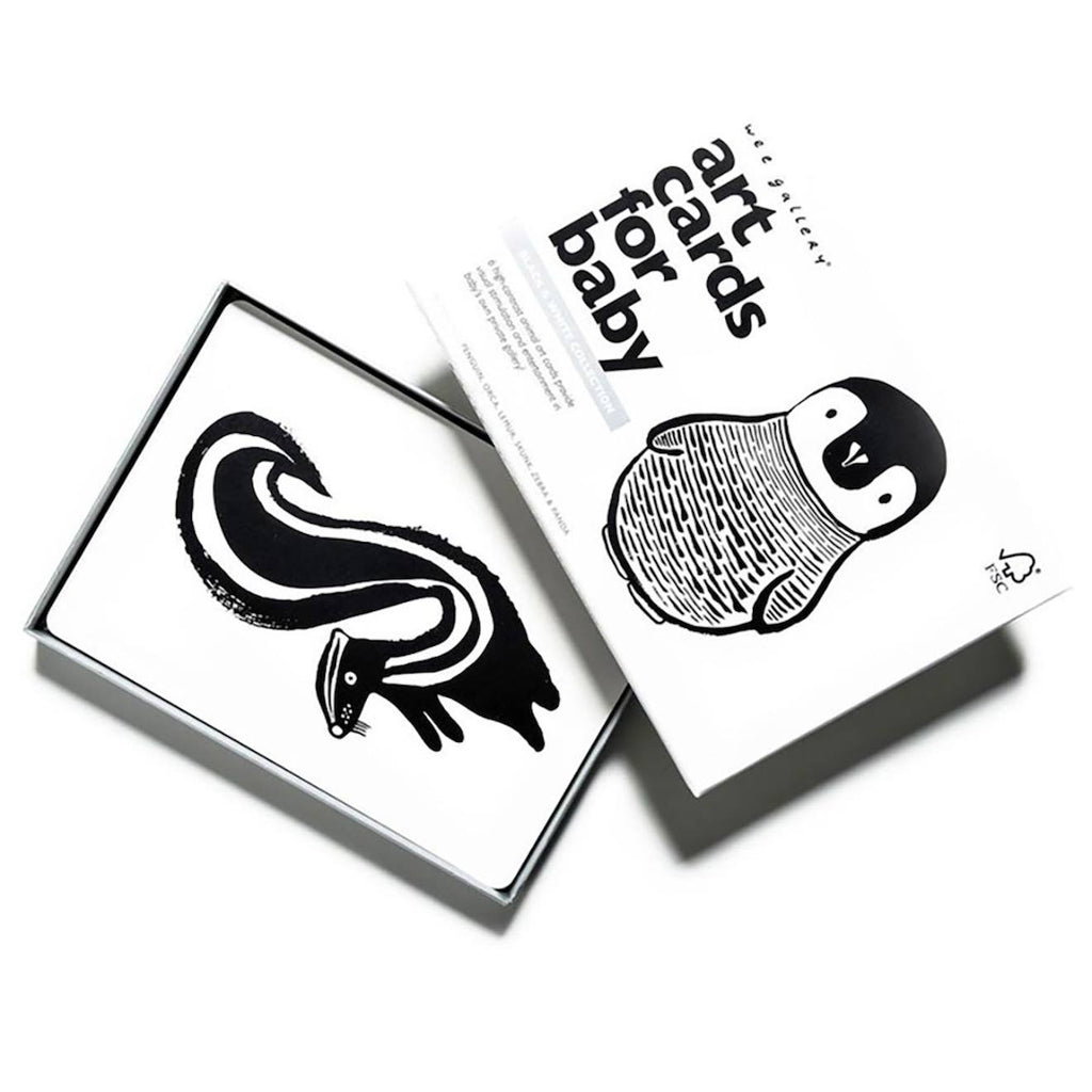 Boîte de 6 cartes imagier en noir et blanc - collection multi-coloured