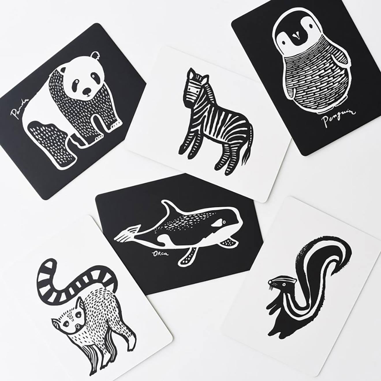 Boîte de 6 cartes imagier en noir et blanc - collection multi-coloured