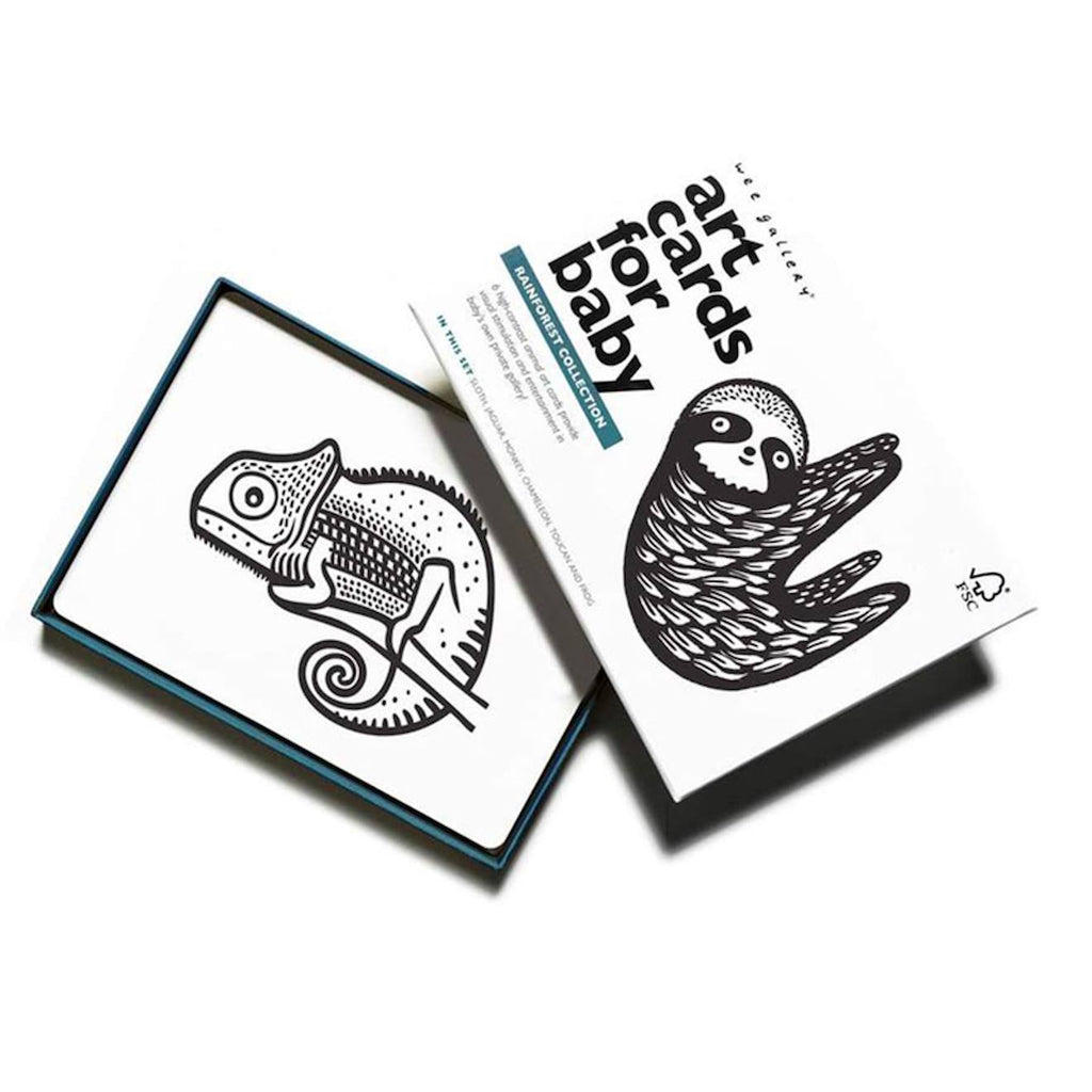 Boîte de 6 cartes imagier en noir et blanc - forêt tropicale multi-coloured