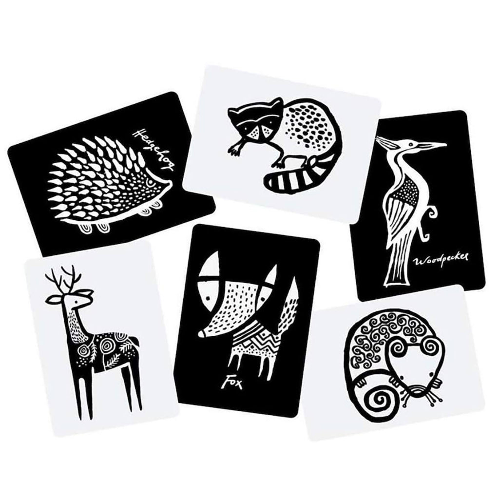 Boîte de 6 cartes imagier en noir et blanc - forêt multi-coloured
