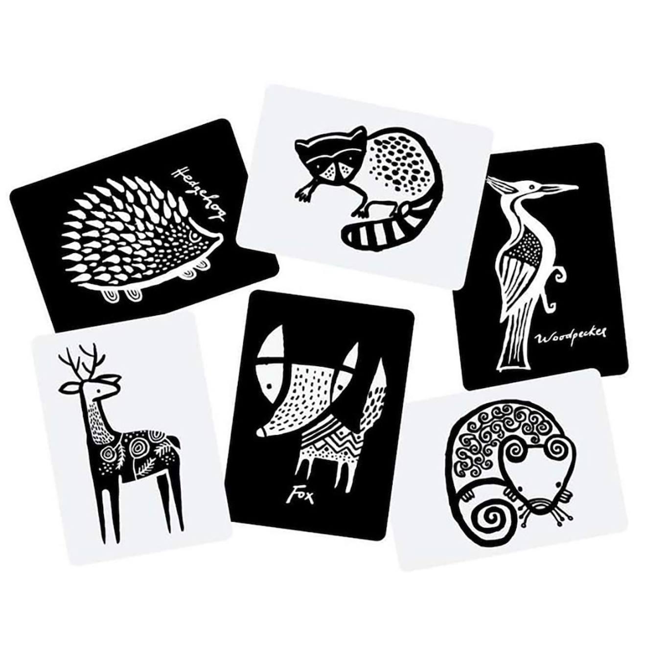 Boîte de 6 cartes imagier en noir et blanc - forêt multi-coloured