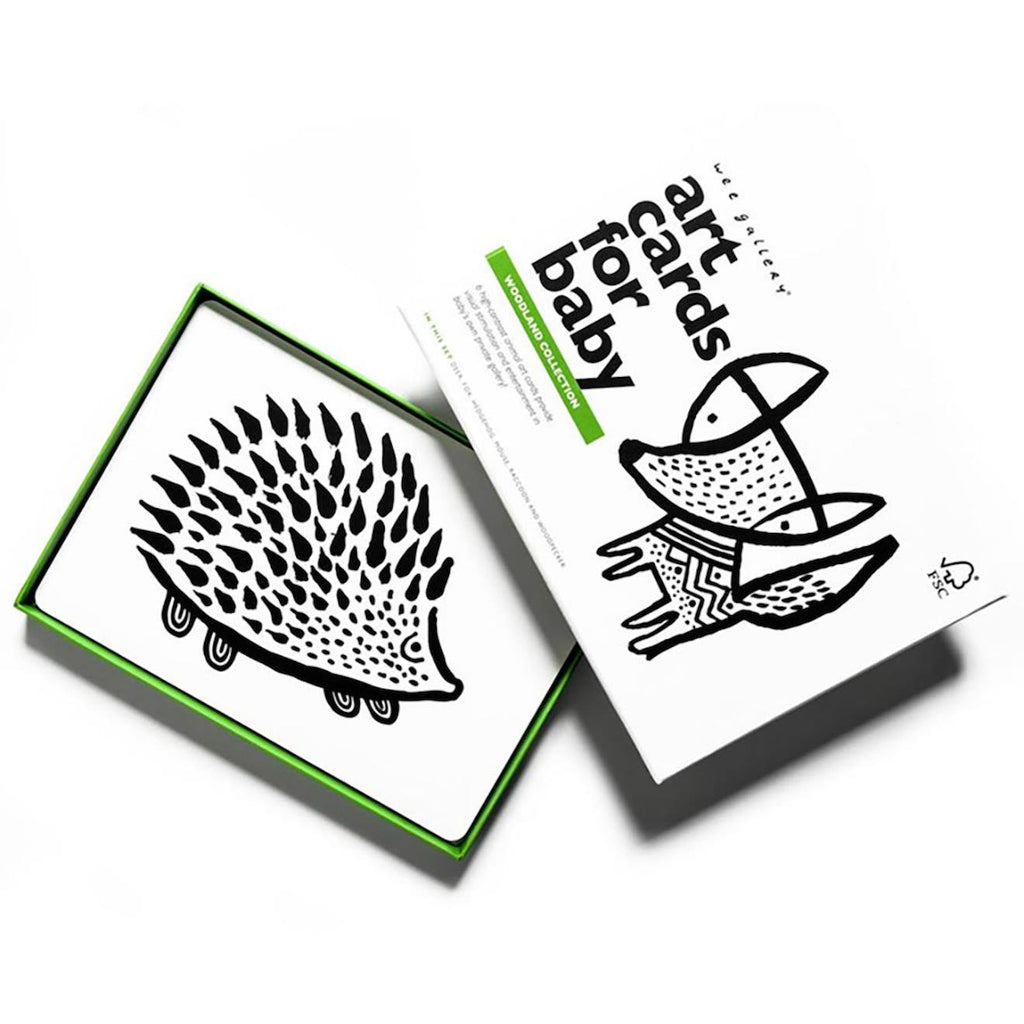 Boîte de 6 cartes imagier en noir et blanc - forêt multi-coloured