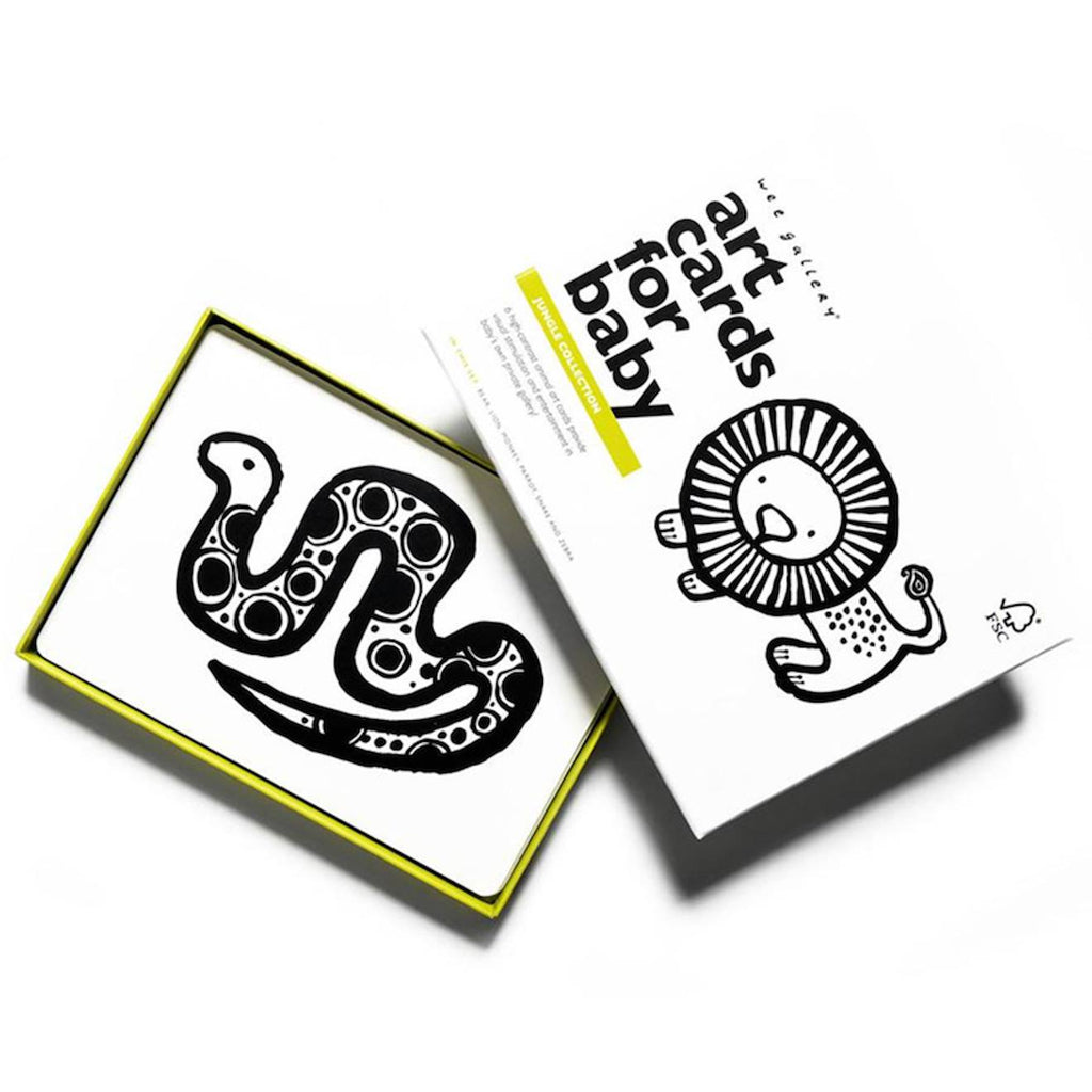 Boîte de 6 cartes imagier en noir et blanc - jungle multi-coloured