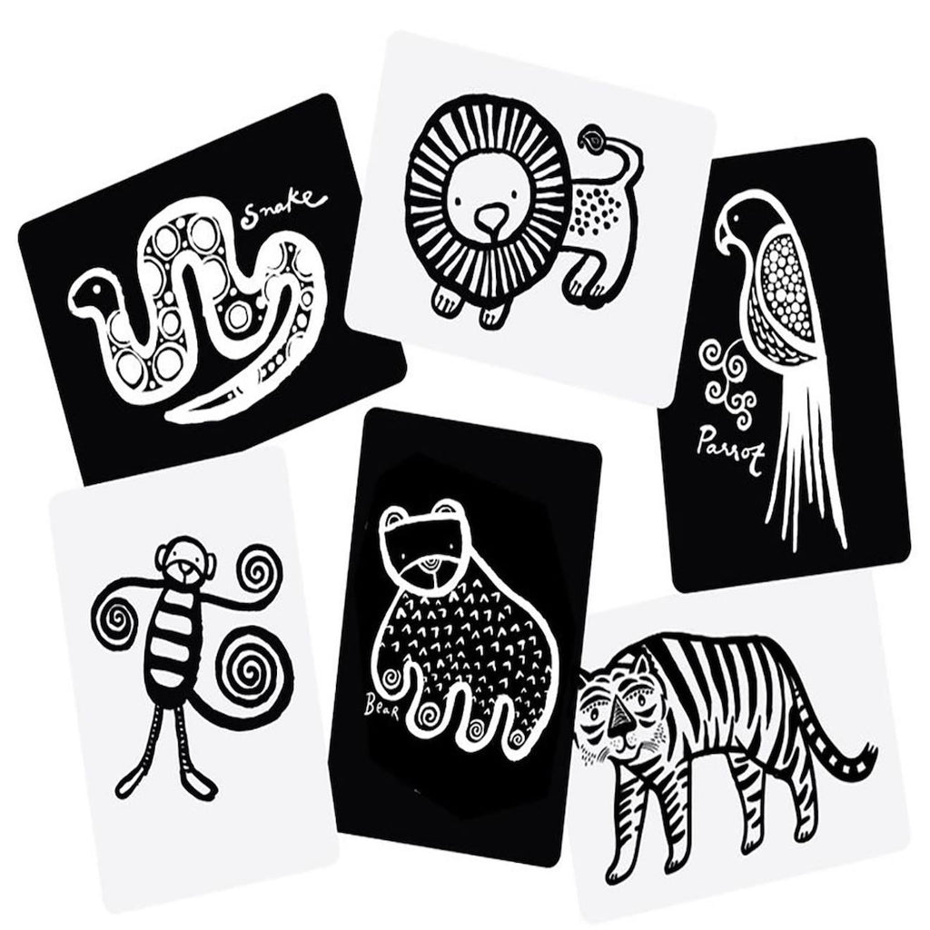 Boîte de 6 cartes imagier en noir et blanc - jungle multi-coloured