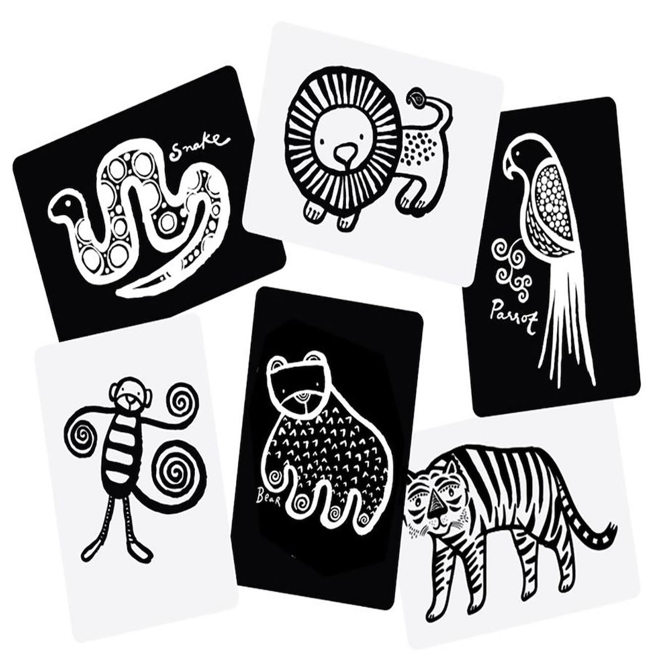 Boîte de 6 cartes imagier en noir et blanc - jungle multi-coloured