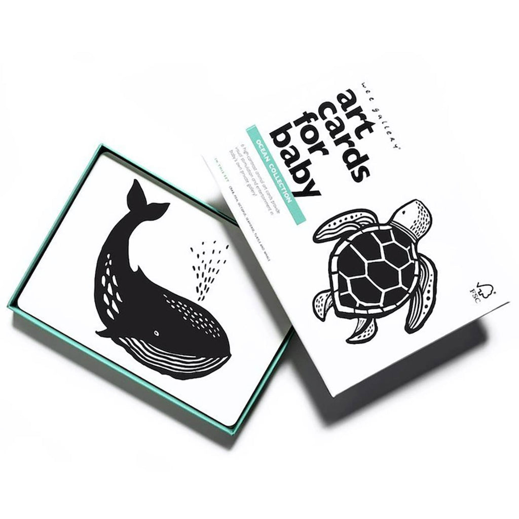 Boîte de 6 cartes imagier en noir et blanc - océan multi-coloured