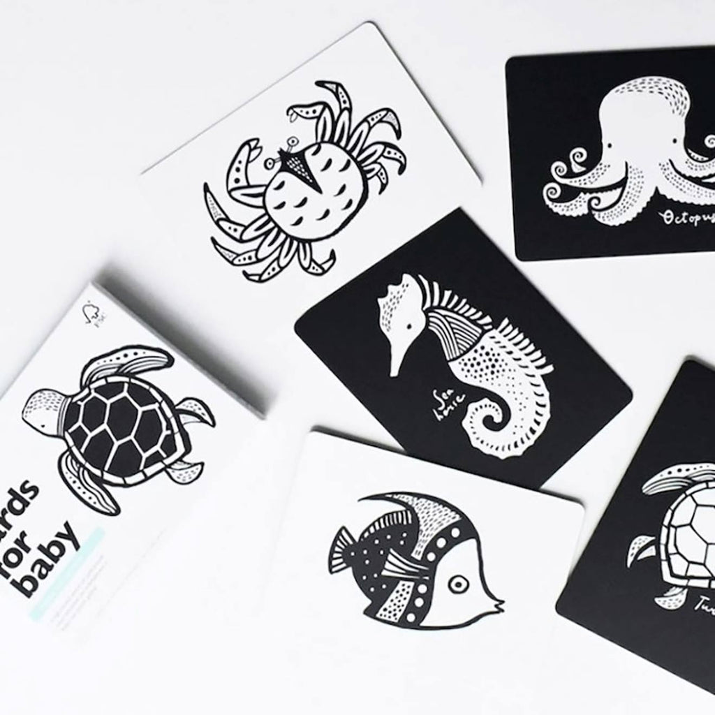 Boîte de 6 cartes imagier en noir et blanc - océan multi-coloured