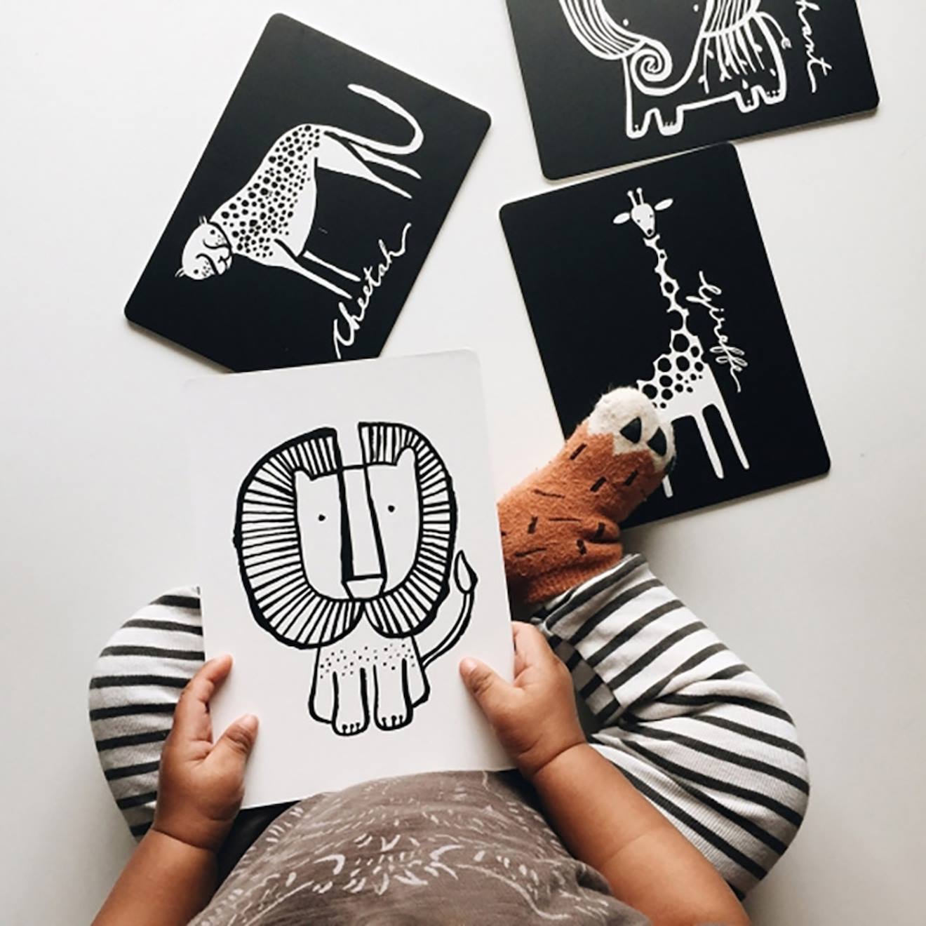 Boîte de 6 cartes imagier en noir et blanc - safari multi-coloured