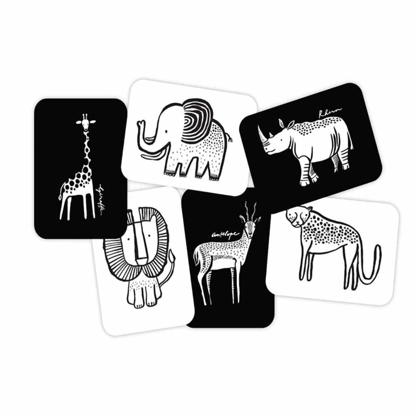 Boîte de 6 cartes imagier en noir et blanc - safari multi-coloured