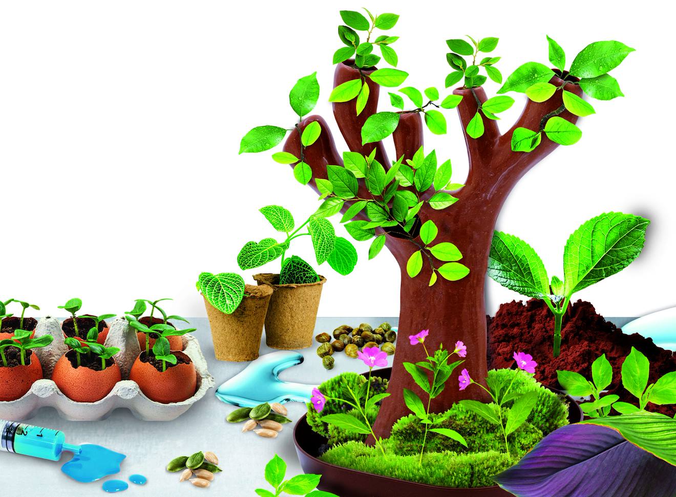 Botanique 50 expériences (arbre en bio-plastique) multicolore