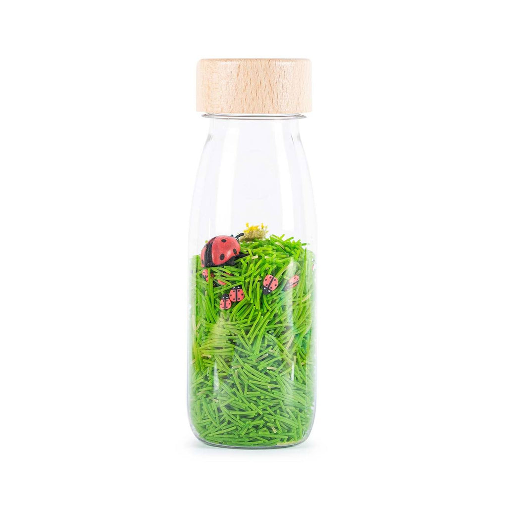 Bouteille sensorielle sound vert, coccinelles