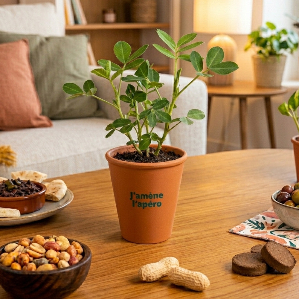 Cacahuètes à Faire Pousser - J'amène l'Apéro - Kits de Plantation