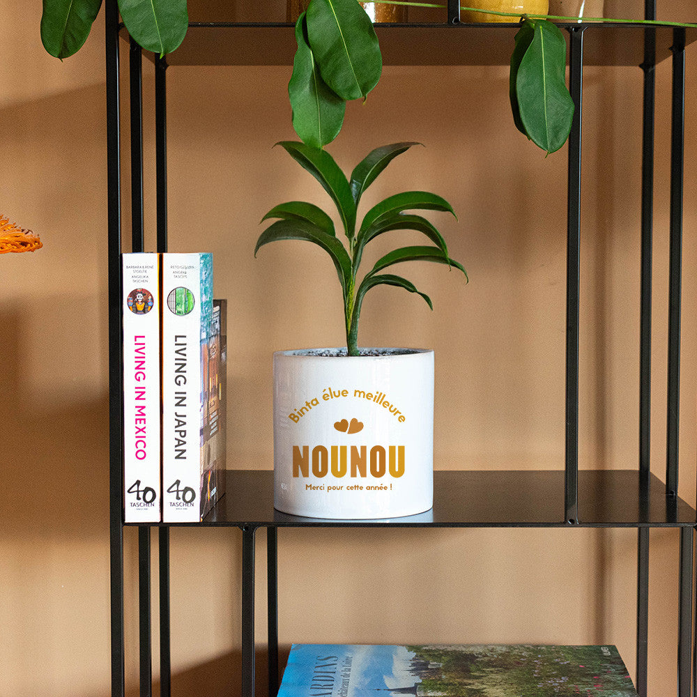 Cache Pot en Céramique Nounou à Personnaliser - Cache Pot Original