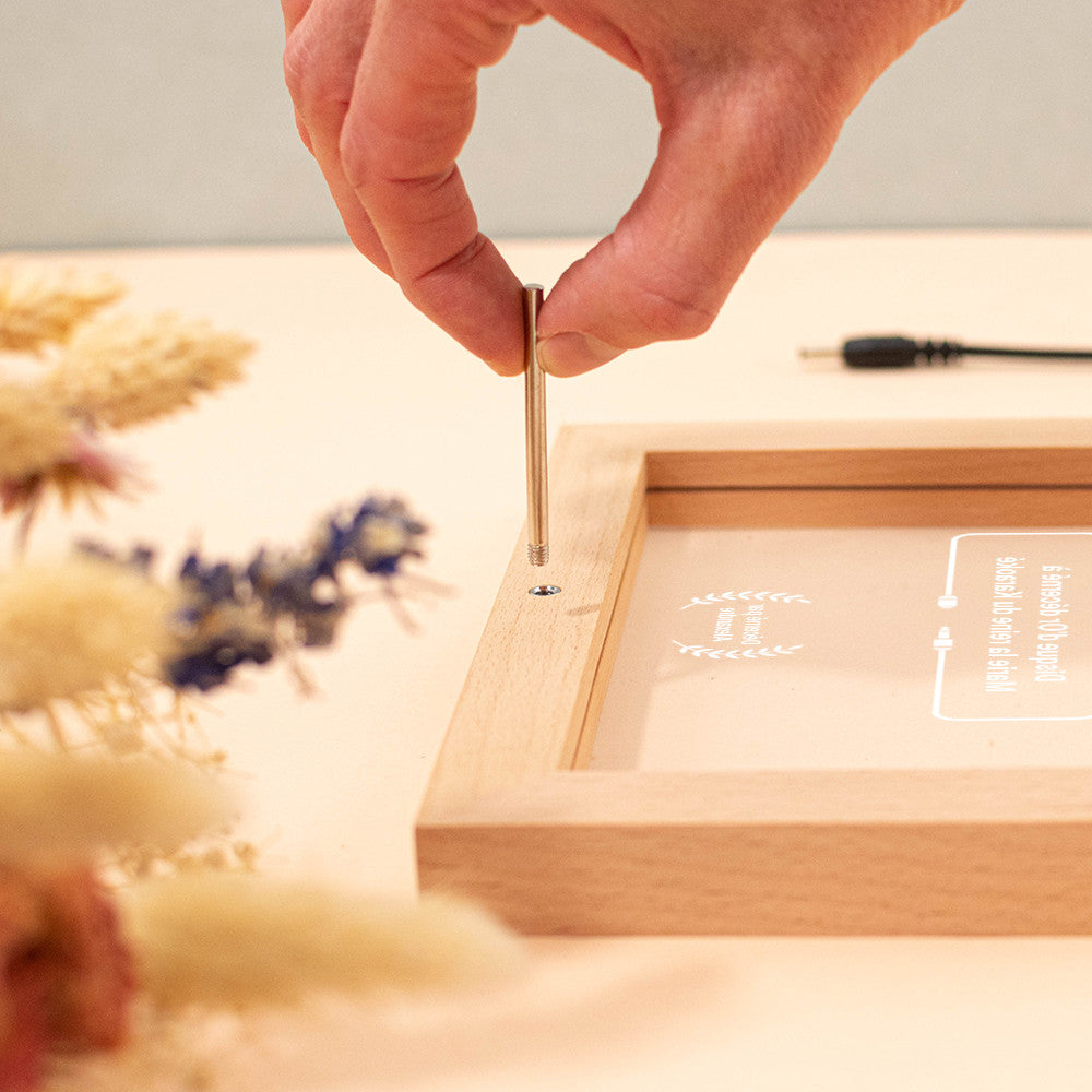 Cadre Lumineux Lixi Outline Disque d'Or à Personnaliser - Lampe Personnalisée