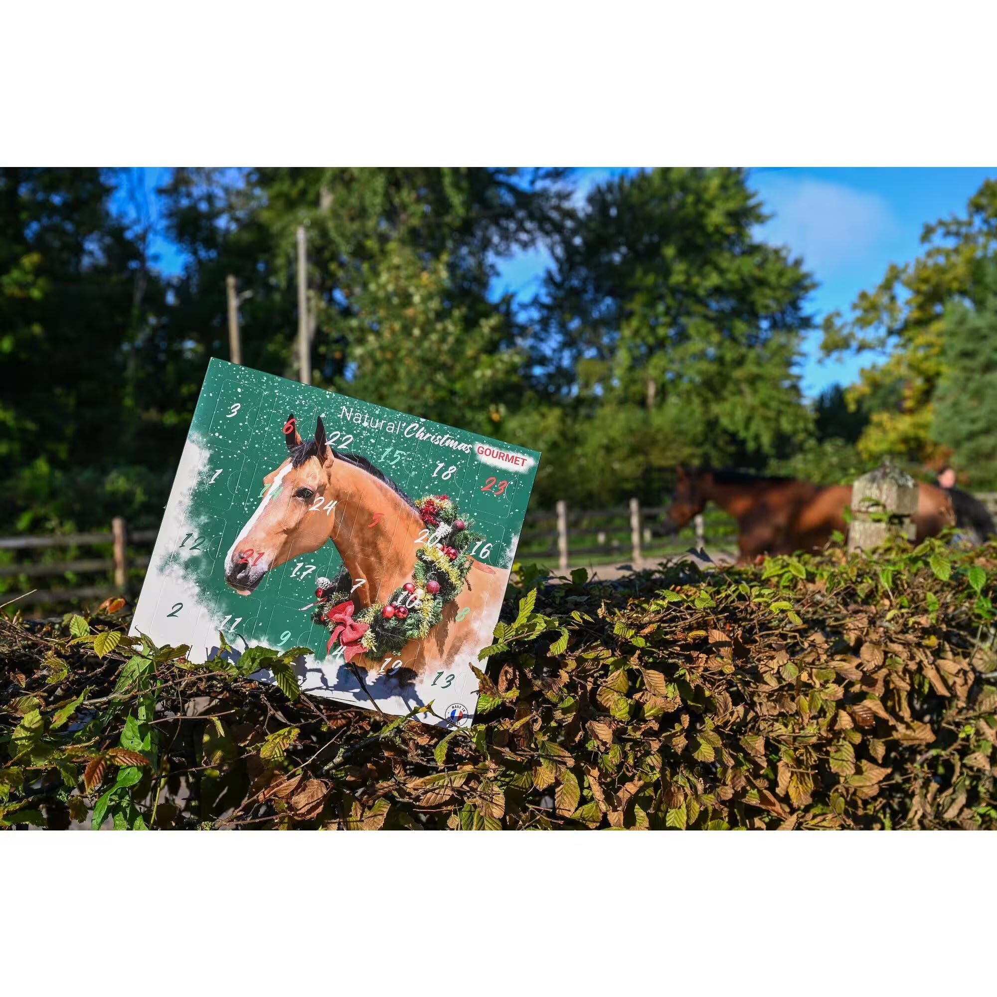 Calendrier de l’Aven Cheval Natural’Christmas Gourmet – Natural’Innov