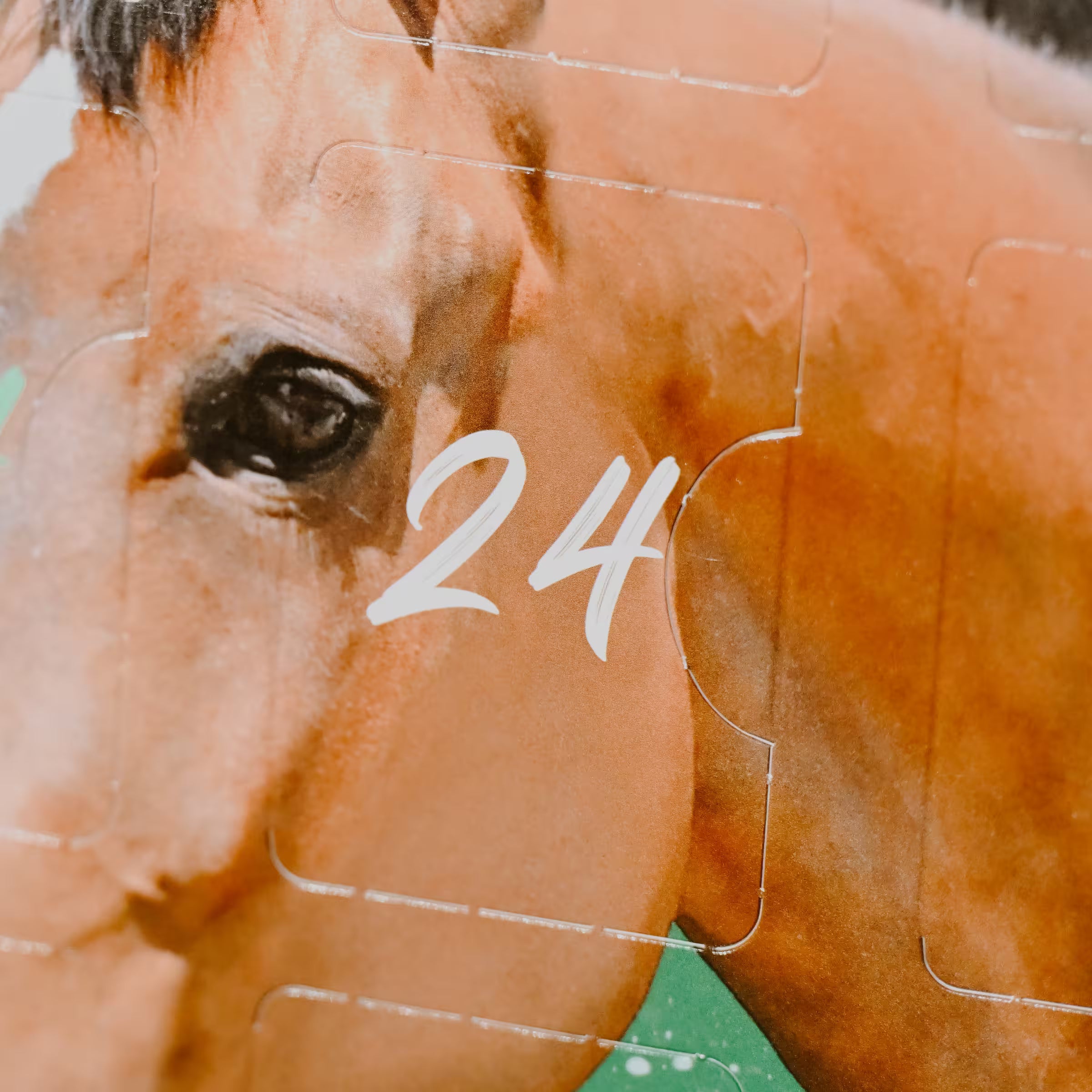 Calendrier de l’Aven Cheval Natural’Christmas Gourmet – Natural’Innov