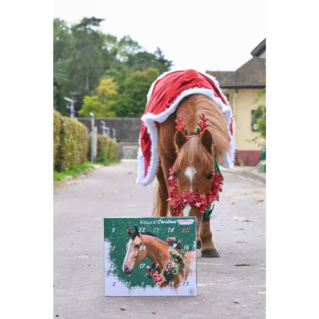 Calendrier de l’Aven Cheval Natural’Christmas Gourmet – Natural’Innov