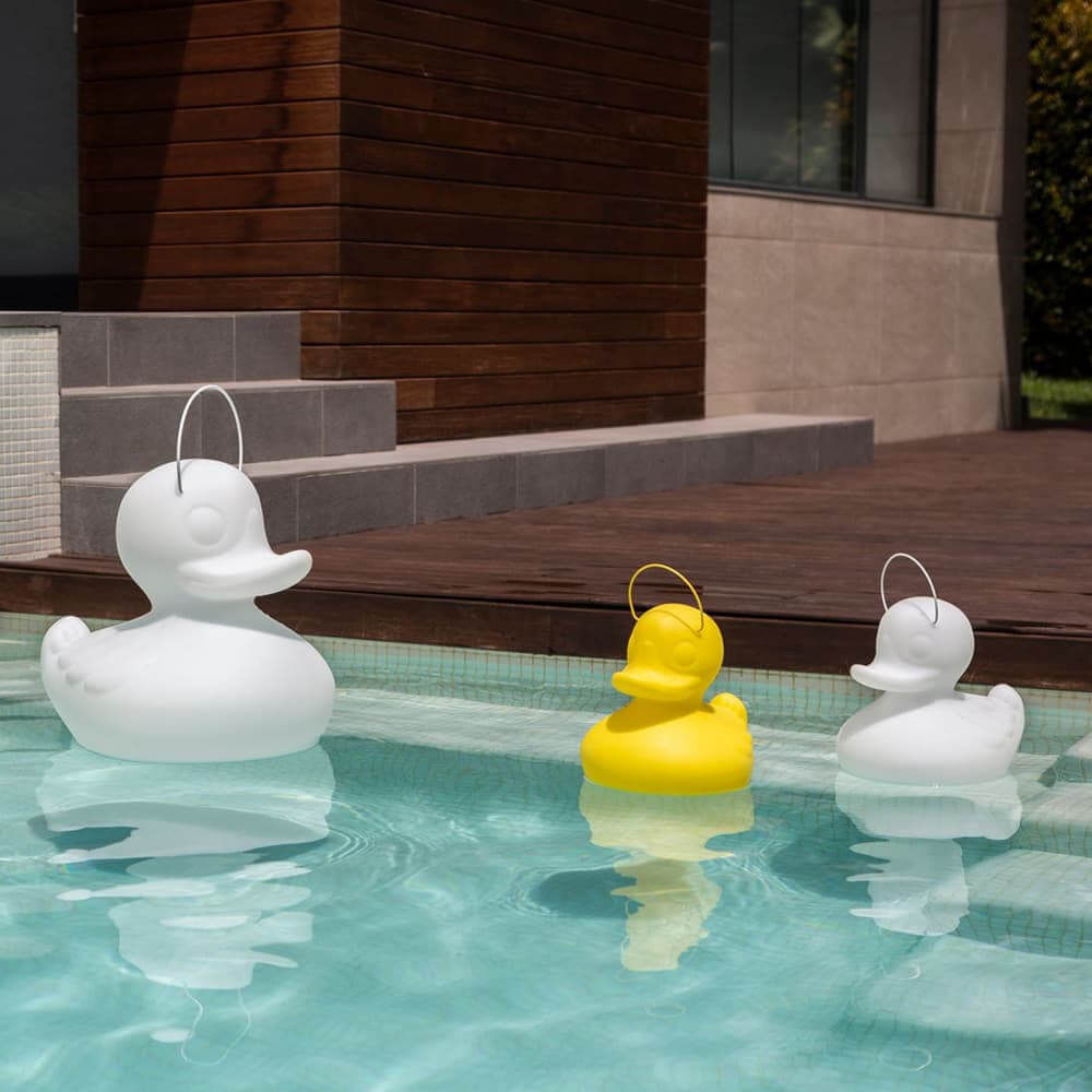 Canard Lumineux - Lampe Originale
