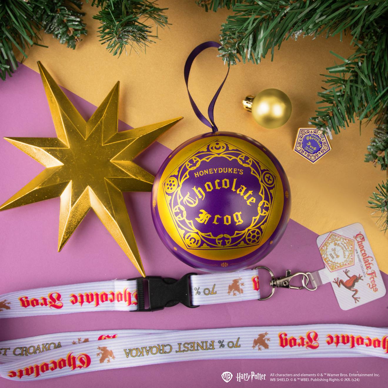 Capsule de Noël Tour de Cou & Pin's Chocogrenouille - Harry Potter Violet