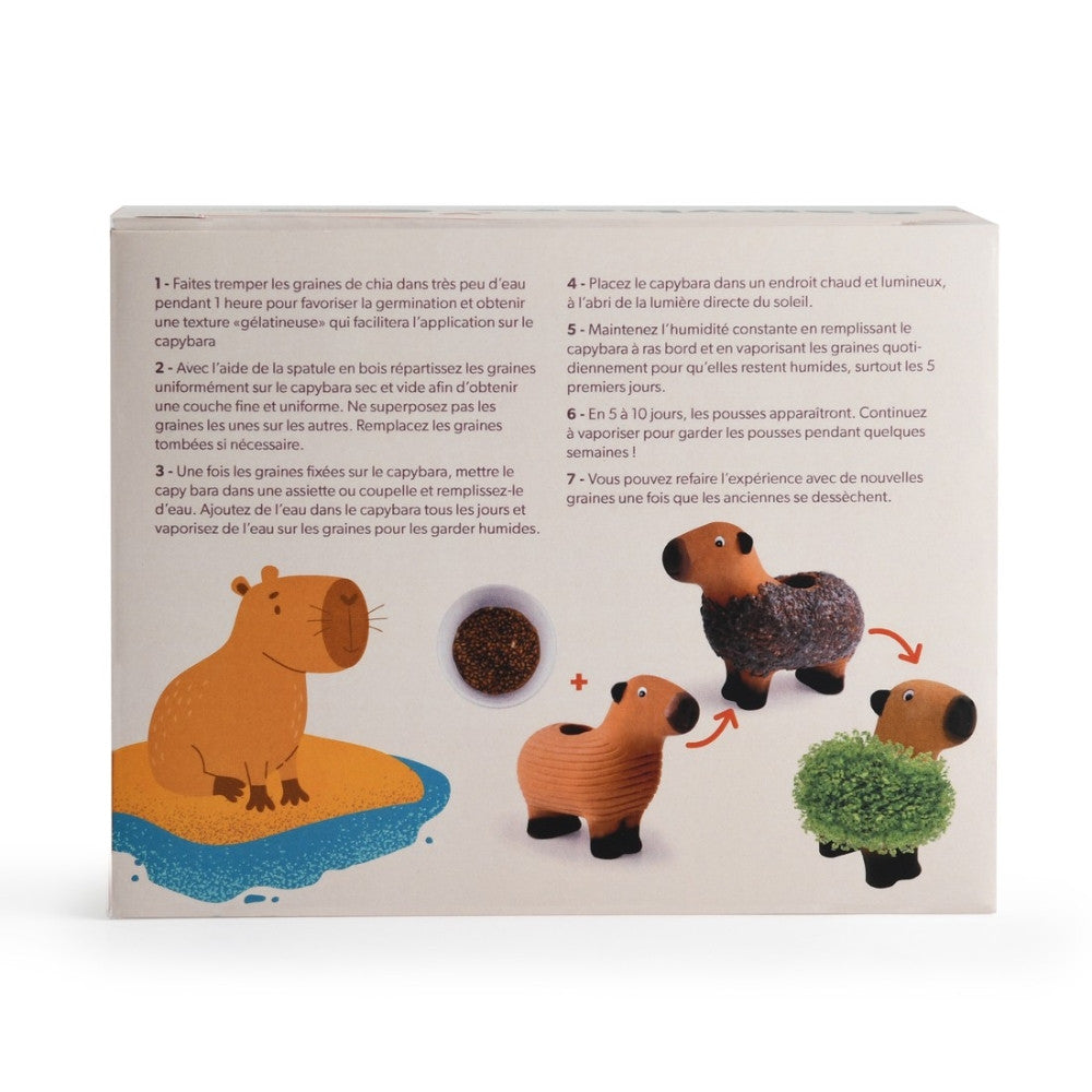 Capybara à Faire Pousser - Kits de Plantation