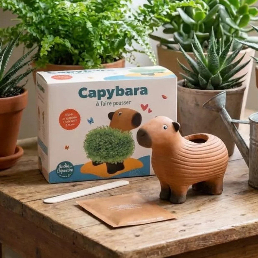 Capybara à Faire Pousser - Kits de Plantation