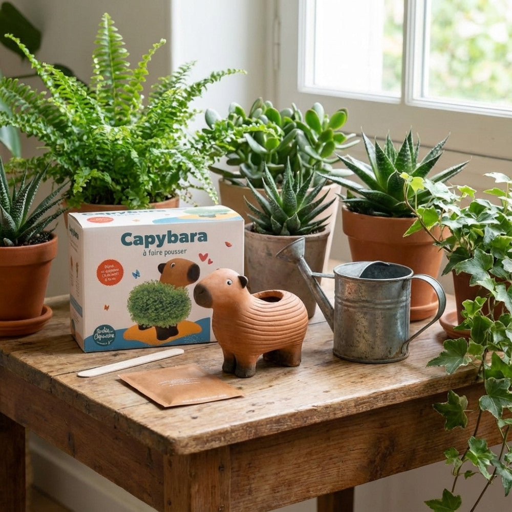 Capybara à Faire Pousser - Kits de Plantation