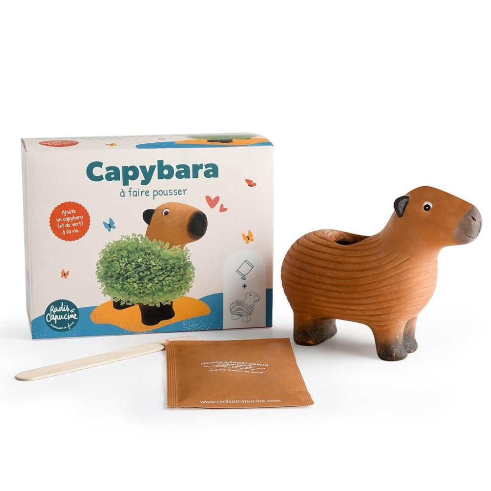 Capybara à Faire Pousser - Kits de Plantation