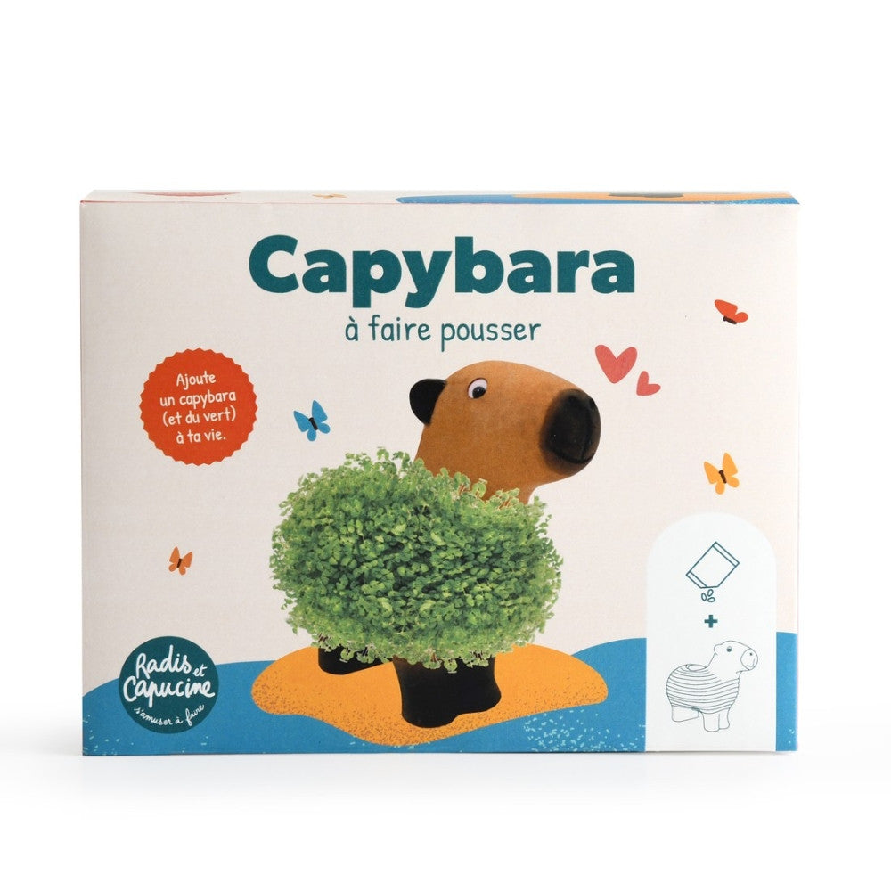 Capybara à Faire Pousser - Kits de Plantation