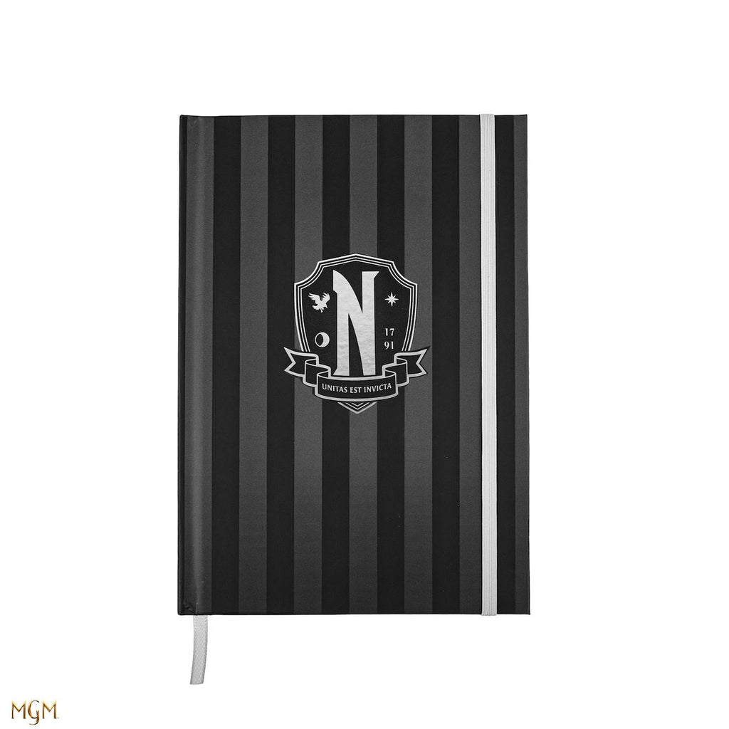 Carnet Académie Nevemore - Mercredi Multicolore
