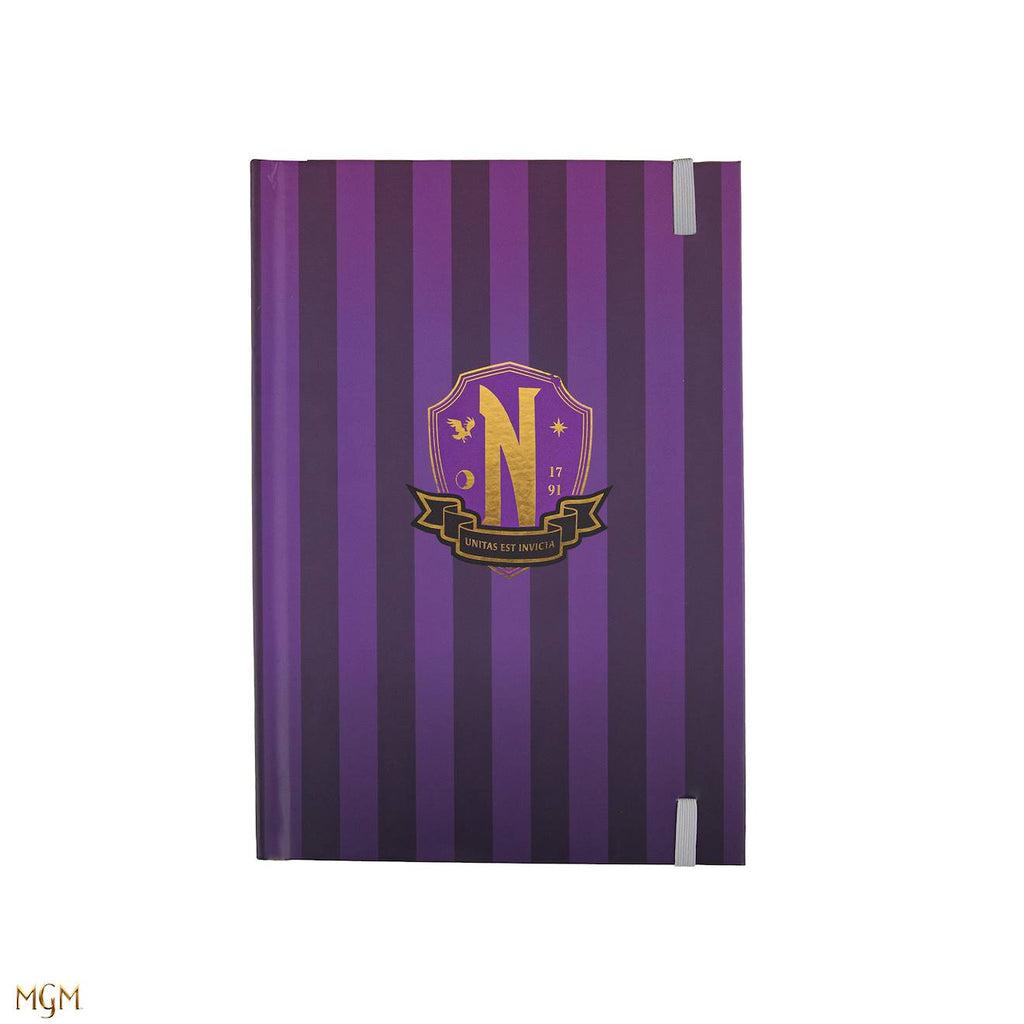 Carnet Académie Nevemore - Mercredi Multicolore