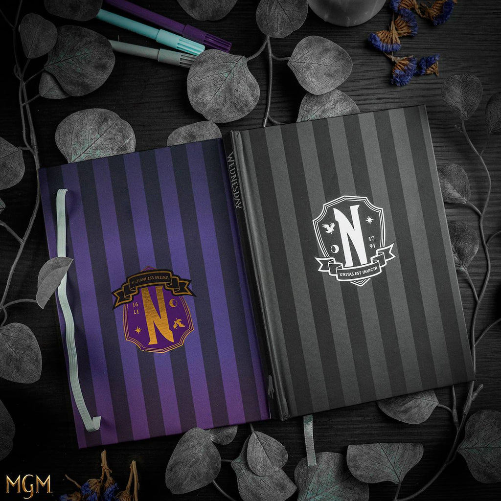 Carnet Académie Nevemore - Mercredi Multicolore