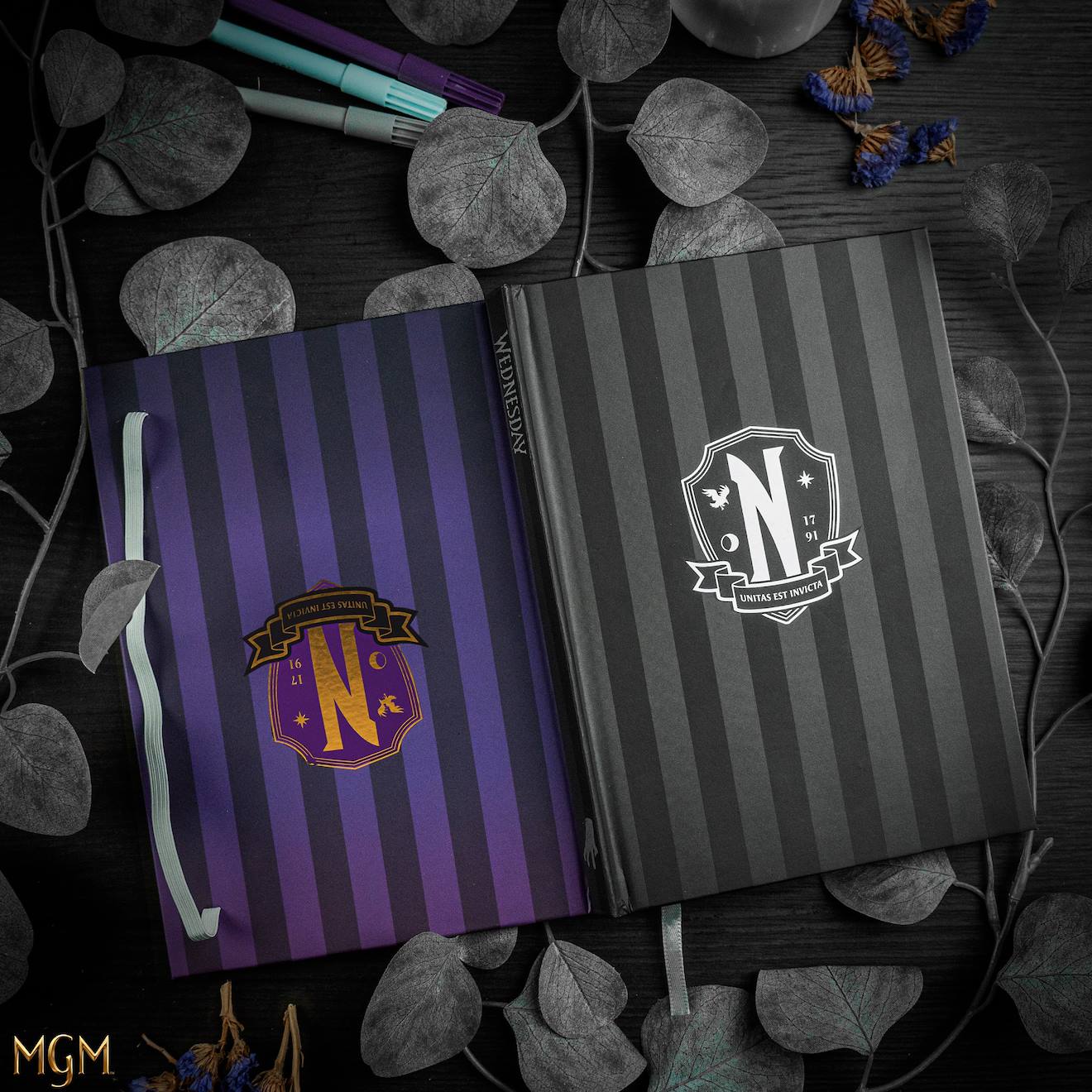 Carnet Académie Nevemore - Mercredi Multicolore