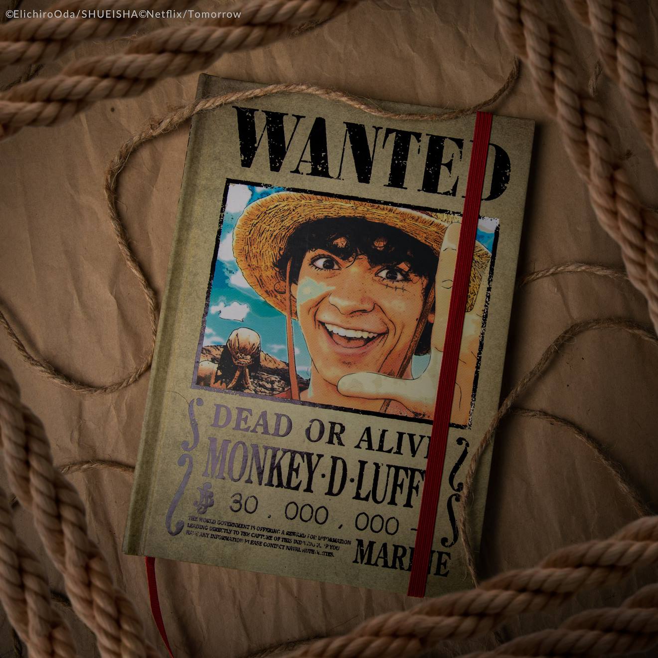 Carnet Avis de Recherche - One Piece Beige