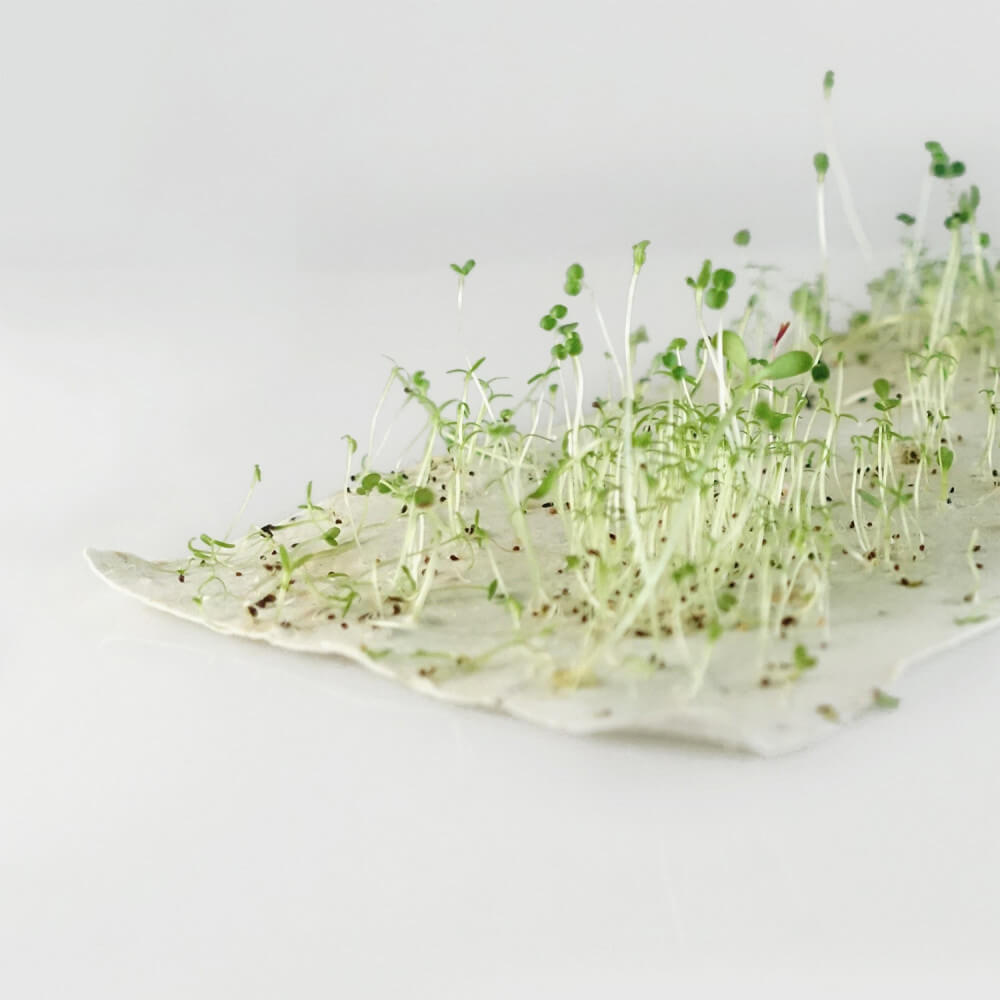 Carte à Planter "Je t'aime Maman" Fleurs - Carte Anniversaire CadoMaestro