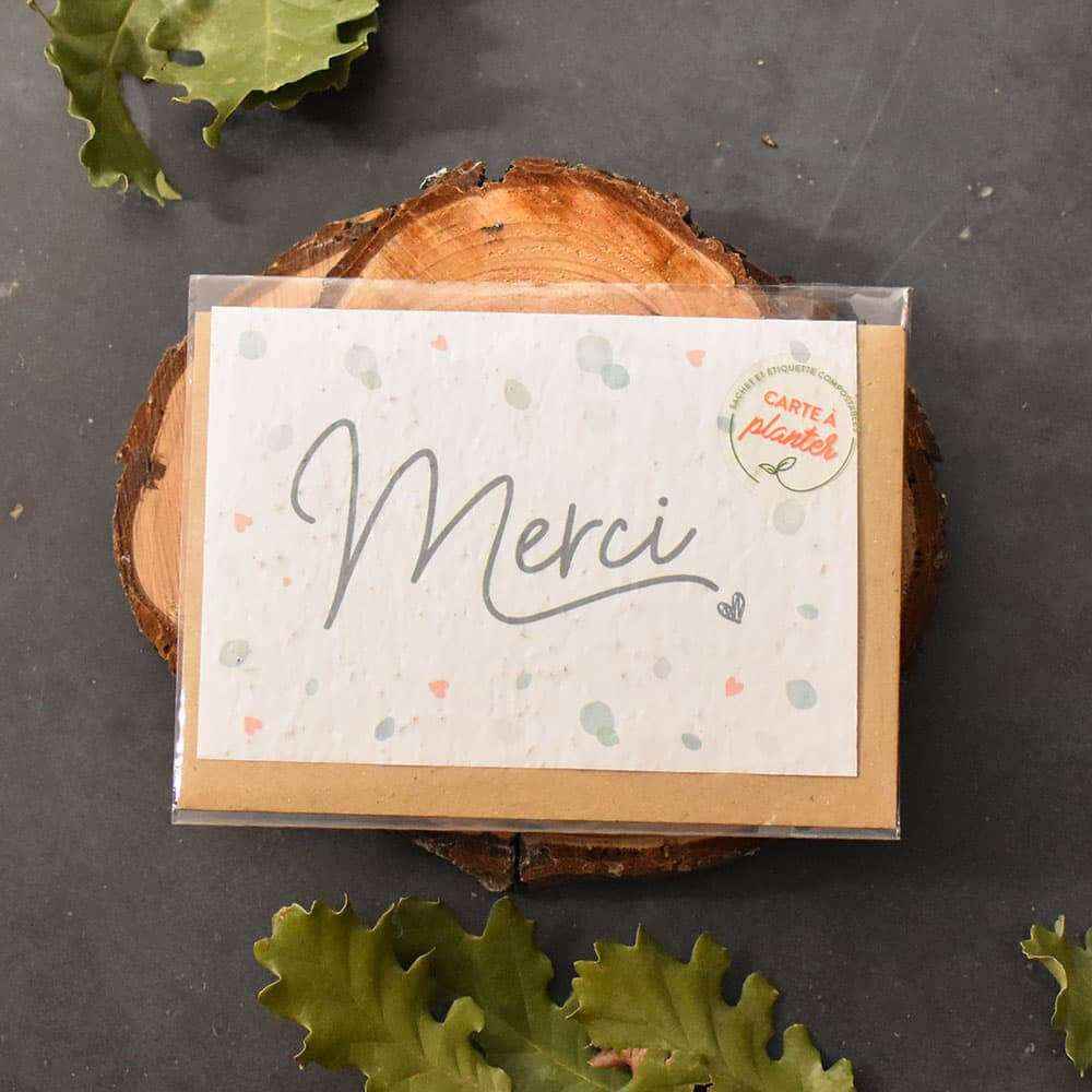 Carte à Planter Remerciements - Carte Anniversaire CadoMaestro