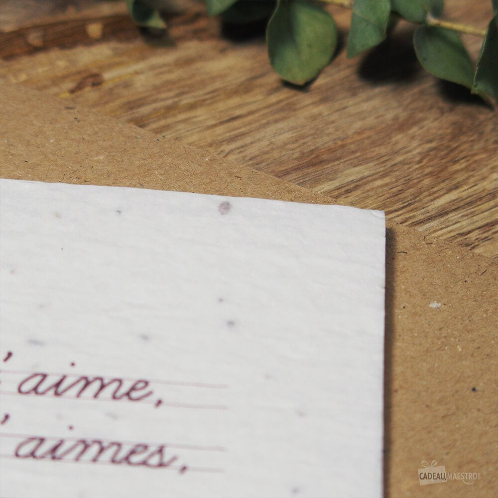 Carte à Planter "Je t'aime, Tu m'aimes" - Carte Anniversaire CadoMaestro